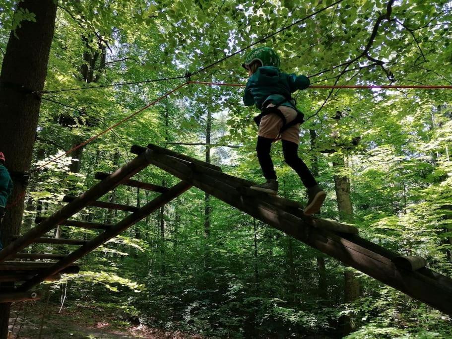 Tiny House 1 Im Schoenen Allgaeu Mit Grossem Garten, Naturnah Bad Wurzach Zewnętrze zdjęcie
